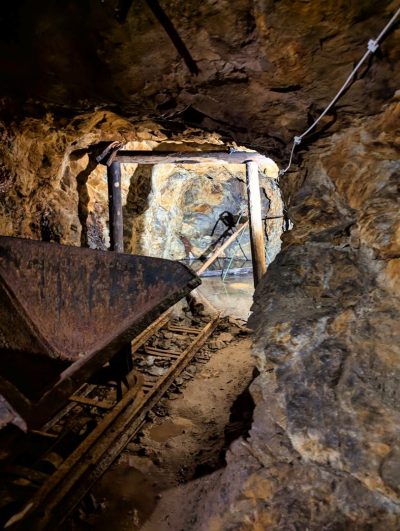 RIESE Kompleks Włodarz RIESE Kompleks Włodarz