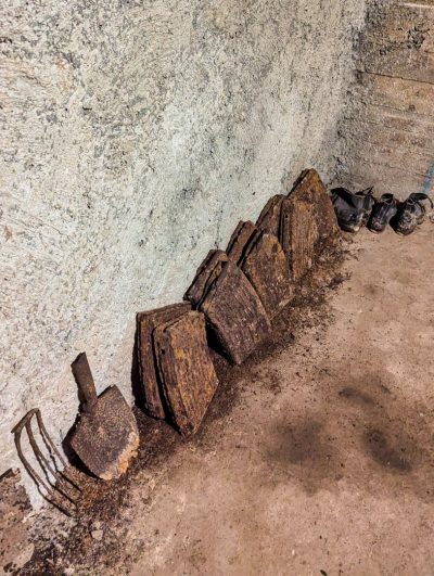 RIESE Kompleks Włodarz RIESE Kompleks Włodarz