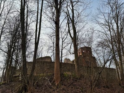 Zamek Świecie (Zamek Miecz) Zamek Świecie (Zamek Miecz)