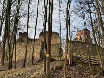 Zamek Świecie (Zamek Miecz) Zamek Świecie (Zamek Miecz)