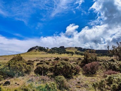 Las Fanal [Lagoa de Fanal]