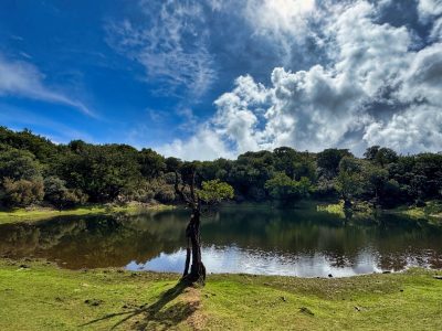 Las Fanal [Lagoa de Fanal]