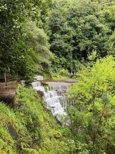 Levada Rodrigues [Levada Faja Do Rodrigues]