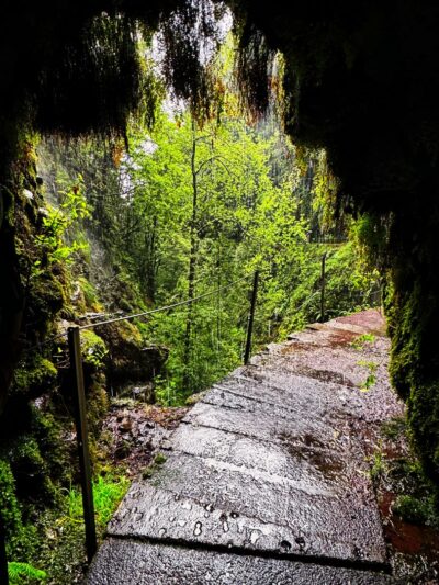 Levada Rodrigues [Levada Faja Do Rodrigues]