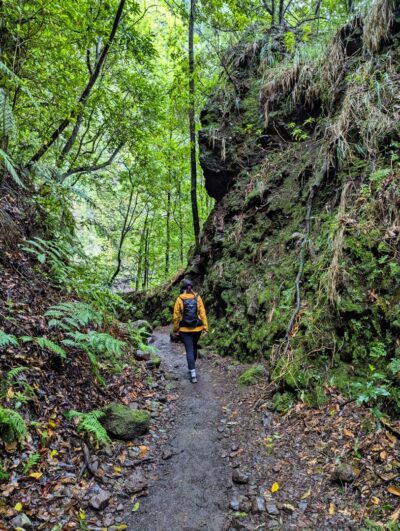 Levada Rodrigues [Levada Faja Do Rodrigues]