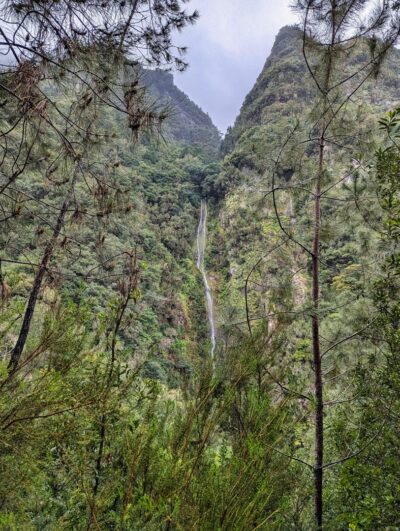Levada Rodrigues [Levada Faja Do Rodrigues]