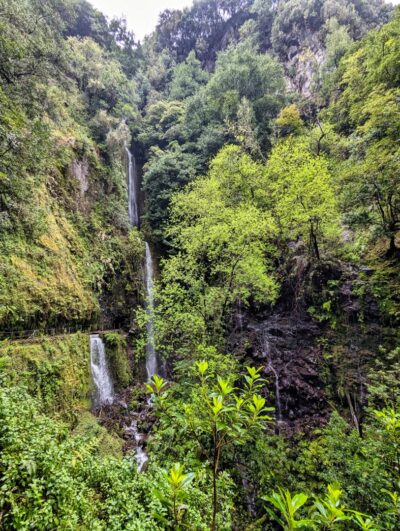 Levada Rodrigues [Levada Faja Do Rodrigues]