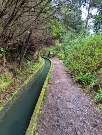 Levada Rodrigues [Levada Faja Do Rodrigues]