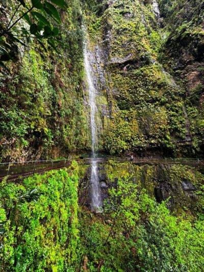Levada Rodrigues [Levada Faja Do Rodrigues]