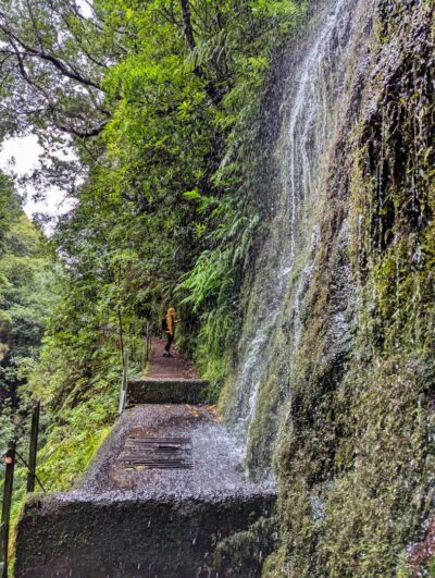 Levada Rodrigues [Levada Faja Do Rodrigues]