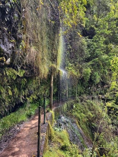Levada do Moinho Levada do Moinho