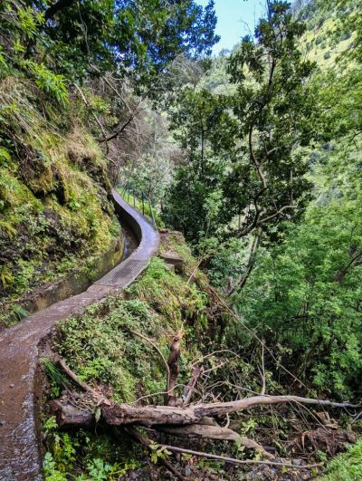 Levada do Moinho Levada do Moinho