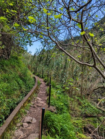 Levada do Moinho Levada do Moinho