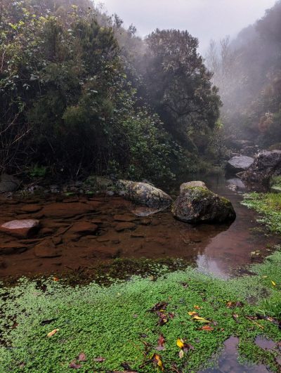 Wodospad Risco [Cascata do Risco]
