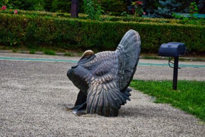 Bukareszt [București]