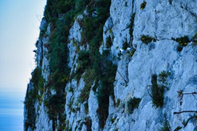 Gibraltar