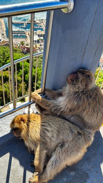 Gibraltar