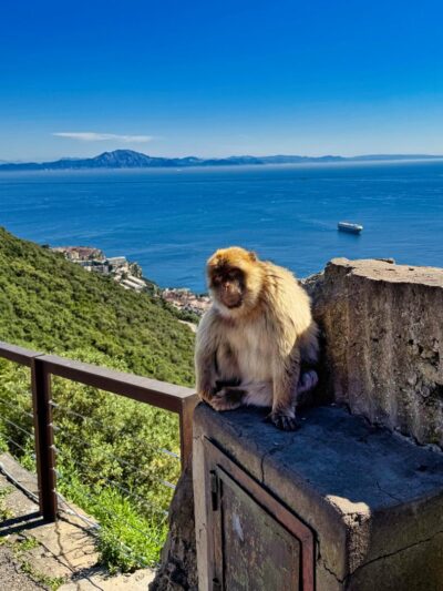 Gibraltar