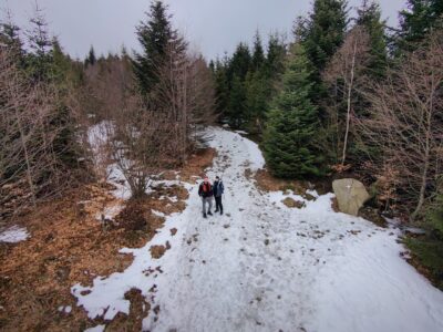 Radziejowa
