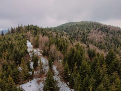 Radziejowa