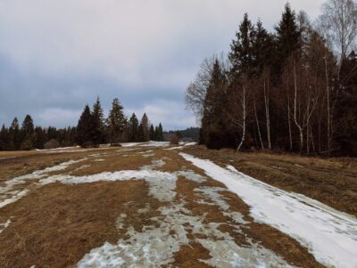 Radziejowa